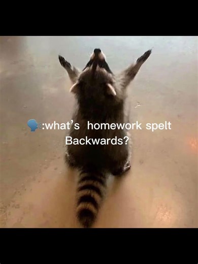 What is homework spelled back words 😱😱😰😰