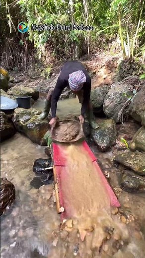 SLUICE BOX GOLD PANNING #goldmines #goldminer #treasurehunt #outdoor #survivalhunter #goldtreasure