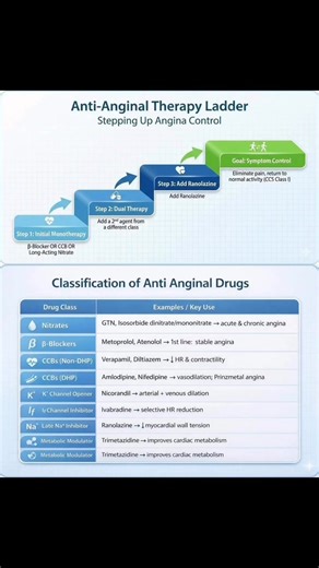 Anti Anginal Therapy | MRCP UK