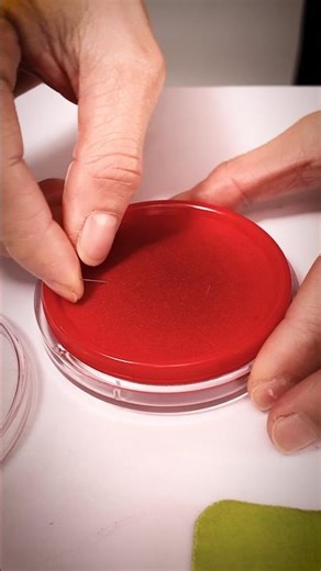 😈🤝 The Landlord Was in on It — Door Stop Saved Me 🚪