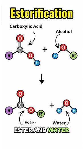 Esterification Reactions explained in 60s!