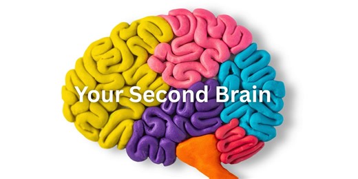 Your Second Brain - The Underrated Organ That Controls Your Life