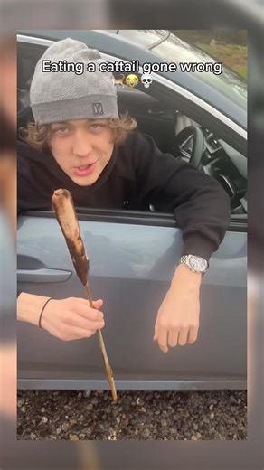 Cattail Plant Eating Challenge: A Hilarious Adventure