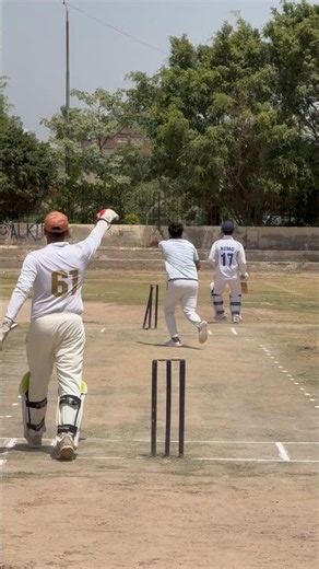 Good Umpiring Position to Decide #cricket #hardballmatch #fielding