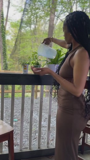 Added some plant babies to my back patio this beautiful Wednesday morning 💚✅🌿 #wednesday #reels #plants #explorepage #video | Rue Russell