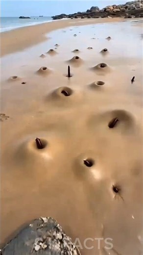 मिट्टी के अंदर से ये क्या निकल गए 😍🤩