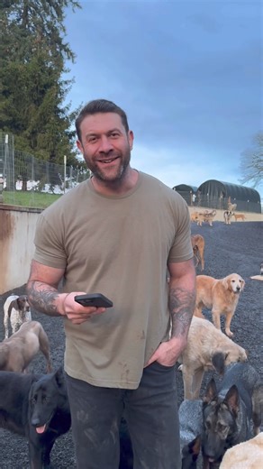 We teamed up with The Asher House and his pack of furry friends to put our XTR3 screen protector to the ultimate test! Ready to see if our cases can withstand the canine stampede? Stay tuned! 🐾 #ZAGG #phoneaccessories #techaccessories #phonecase #ProtectBetter | zagg