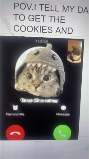 Pov i call dad to get the cookies