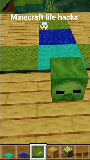Minecraft life hacks