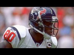 Andre Johnson Highlights