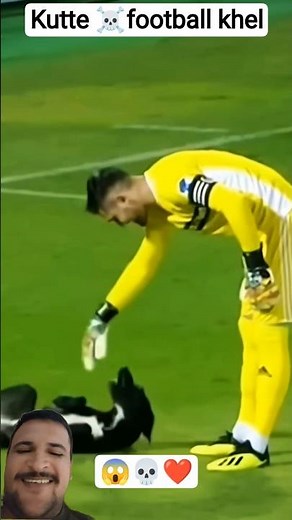 Dogs 😱playing football vs cat 🐱#animals #troll...