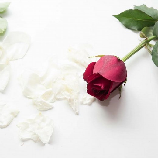 a-ha – I’ve Been Losing You (Unplugged • MTV Summer Solstice)