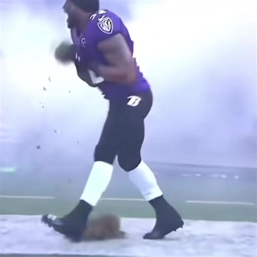 Ray Lewis was something else #football #fyp #bighit