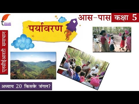 कक्षा 5 ईवीएस अध्याय 20 किसके जंगल? in Hindi Medium.