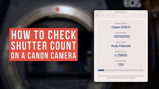 How to Check Shutter Count on a Canon Camera (2025 Guide)