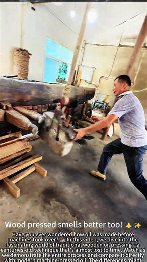Ancient Wood Press vs. Machine – Oil Difference! 🫒