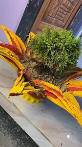 🌿✨ VASOS DE CIMENTO: RÚSTICO, ELEGANTE ! ✨🌿 Quer dar um toque rústico e sofisticado ao seu jardim ou cantinho verde? Os vasos de cimento são a escolha perfeita! 🏡💚 Além de serem duráveis, estilosos e fáceis de fazer, eles combinam com qualquer ambiente! 🔨 Vantagens dos vasos de cimento: ✅ Resistentes e de longa duração ✅ Podem ser personalizados com tintas e texturas ✅ Ótimos para suculentas, ervas e flores 🌱🌸 📸 Marque a gente nas suas criações! Quer aprender a fazer o seu? Comente "Quer