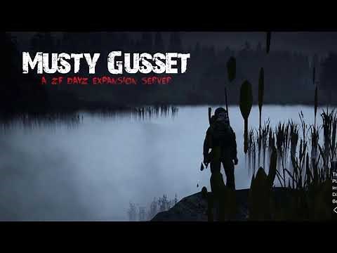 DayZ ZF Custom Main Menu Music Extended - Bavon (Music)