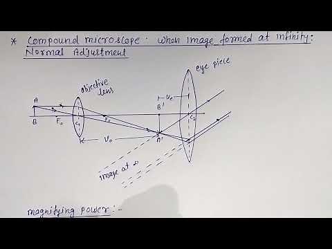 Compound microscope, image at infinity, normal adjustment,