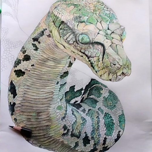 Drawing Anaconda(Python) of jungle book || jungle book snake || art mania || short