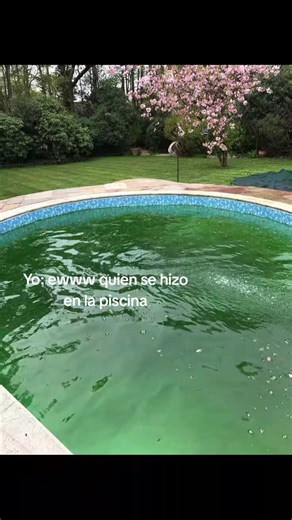 Super Bye Memes de My Hero Academia