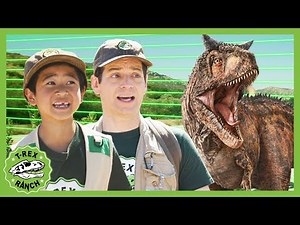 Welcome to Dinosaur School - Stay Out! - T-Rex Ranch Dinosaur Videos