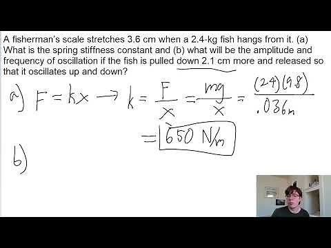 A fisherman’s scale stretches 3.6 cm when a 2.4-kg fish hangs from it. (a) What is the spring