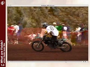 Fields & Interlacing Part 1/7: Explained