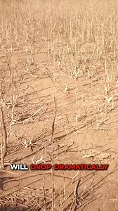 What kind of threats might we encounter in the distant future? #WhatIf #SciFi #Apocalypse #Future #ScienceFiction | What If