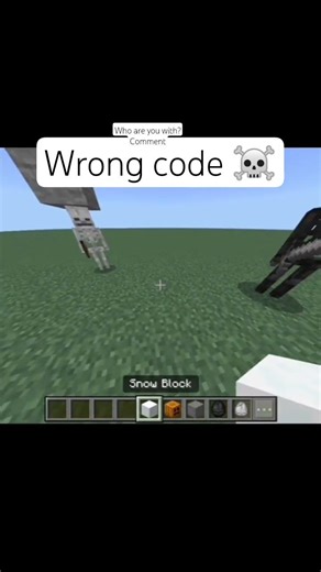 Minecraft’s Code Is Broken 😳🐺 (Wrong Code Glitch)