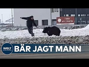 BRAUNBÄR-ATTACKE: In Westsibirien ist ein Mann von einem Bären gejagt worden - aus gutem Grund