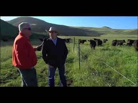 Huell Howser at Hearst Ranch - California's Gold Episode #145 - Part 2