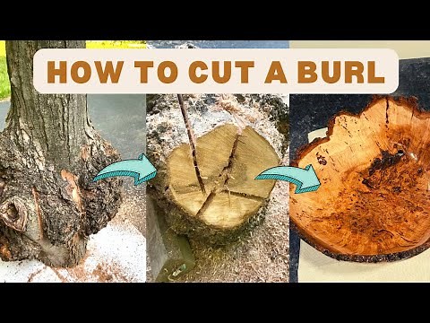 How to Properly Cut a Burl (Step-by-Step Instructions)