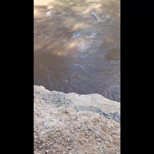 The 1. (@deepstates33)’s videos with original sound - The 1.