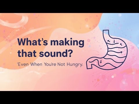 That Loud Belly Sound? Here’s What Your Gut Is Doing.