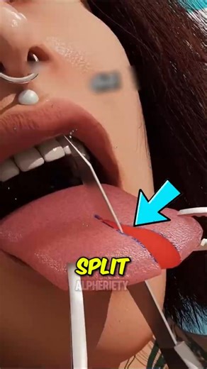 Split Tongue! The Real Truth Behind It 😳
