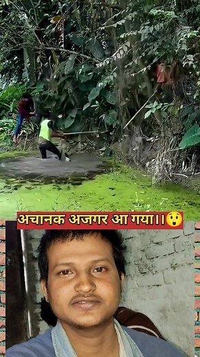 737K views · 2.5K reactions | अचानक अजगर आ गया 50K 20K 10k #1080...