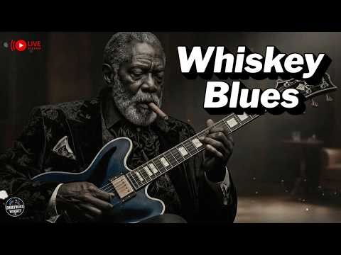 Chicago Blues Live 🎶 Classic Electric Slow Blues Night Session