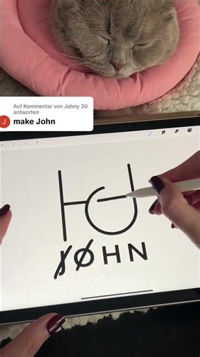 Mastering Name Logo Design in Procreate ft. Johny 30 JOHNNY #procreate #namelogo