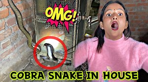 1.8M views · 88K reactions | Ghar me Nikla Cobra Saap || Priya or Jiya bal-bal bach gye ||priyajeet vlogs #couplevlogs | Jeet Thakur Pranks | Facebook