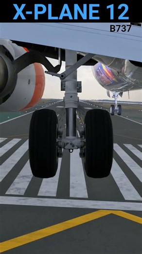landing gear view soft landing Boeing 737