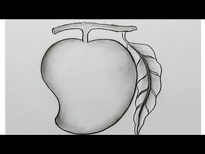 Draw a picture of mango easily, draw a picture of mango easily, how to draw mango step by step