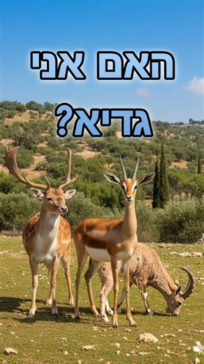 מי באמת חד גדיא? פסח בטבע הישראלי #טיולים #ישראל #טבע