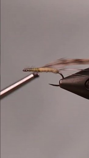 Quick & Easy Mayfly for Trout in 60 Seconds