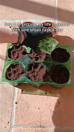 Day 4: One Small Task a Day - Planting Seeds #homeimprovement #productivity #motivation