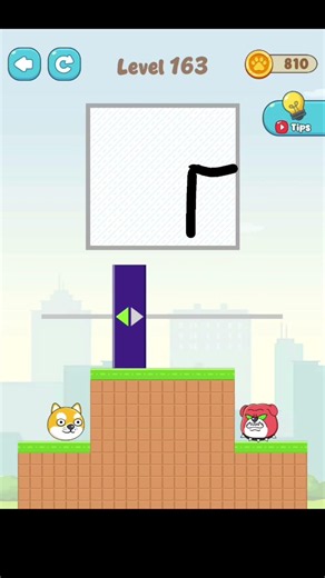 Save The Pets Level 163