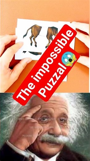 Can You Solve This 2 Hidden Holes Puzzle? 😱🧩 | Hard Woodworking Puzzle