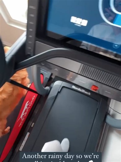 Tucker Budzyn: The Funniest Dog Moments on TikTok