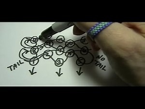 Odd-Count Peyote Stitch