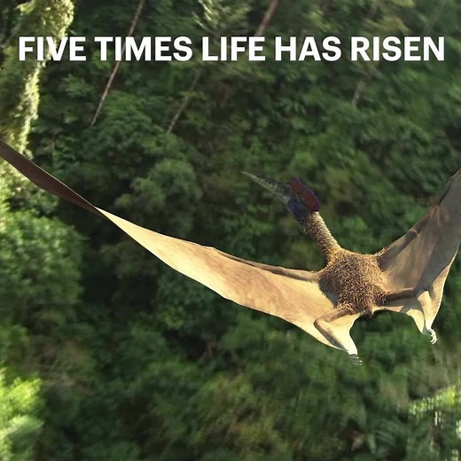 2.8K reactions · 309 shares | Get cozy and discover 2,400+ shows that cover the world’s biggest mysteries. Time to get curious. | Curiosity Stream | Facebook